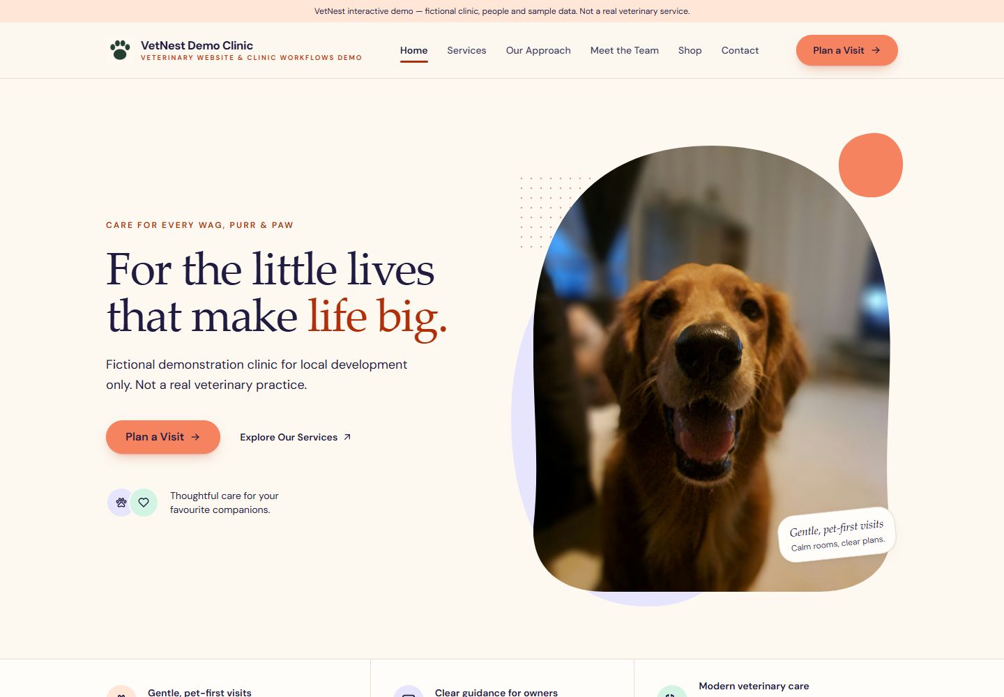 Actual VetNest homepage with warm cream colours, service navigation and a fictional-clinic disclosure